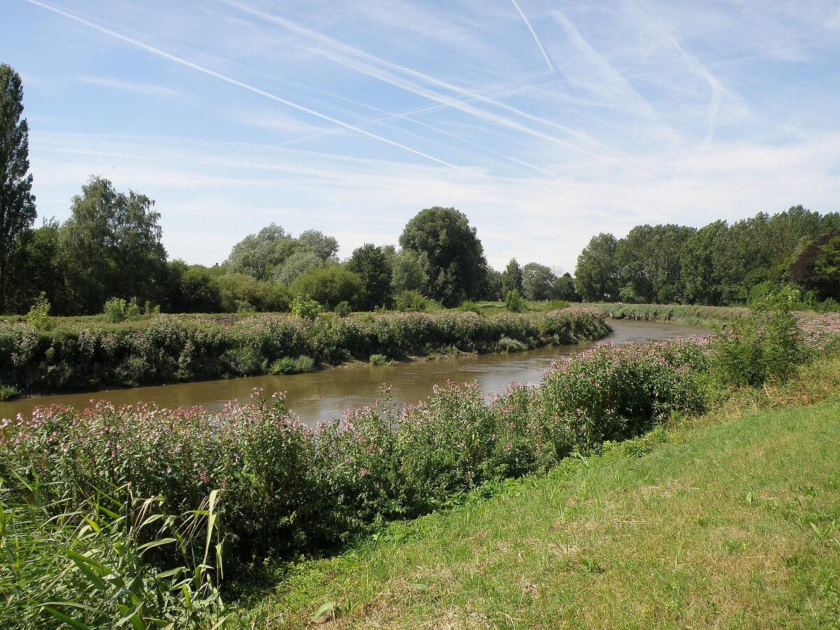 De Nete bij Lier met groene oevers, struiken en bomen onder een blauwe lucht